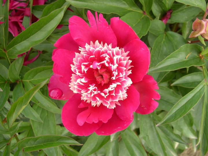 03-33