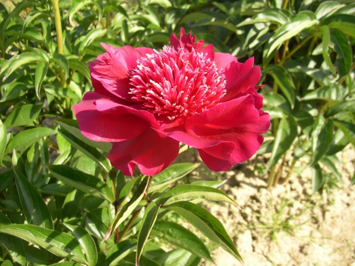 03-33