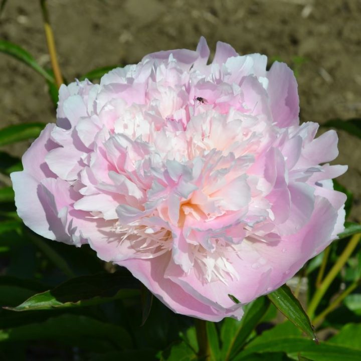 Noemie Demay KW 22