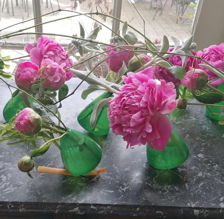 Jacorma KW – Bild 2